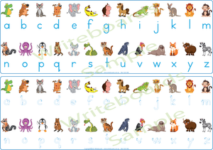 Animal Phonic Package for Teachers, Zoo Phonic Package for Teachers