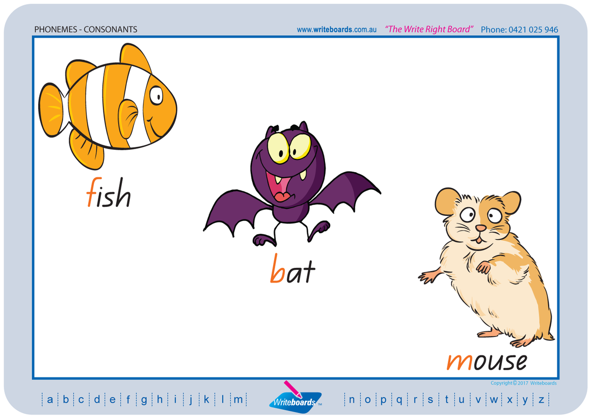 QLD Modern Cursive Font colour coded Consonant Phonemes posters and resources for teachers and schools