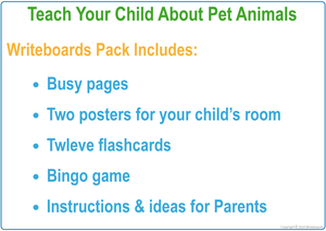 Busy Book Pet Animal Pack includes posters, flashcards, bingo games, and busy pages
