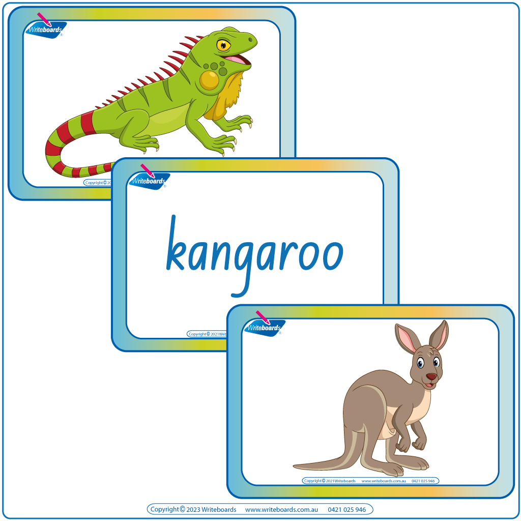 Animal Phonics Flashcards Pack with vibrant pictures and names in NSW Foundation Font for learning phonics