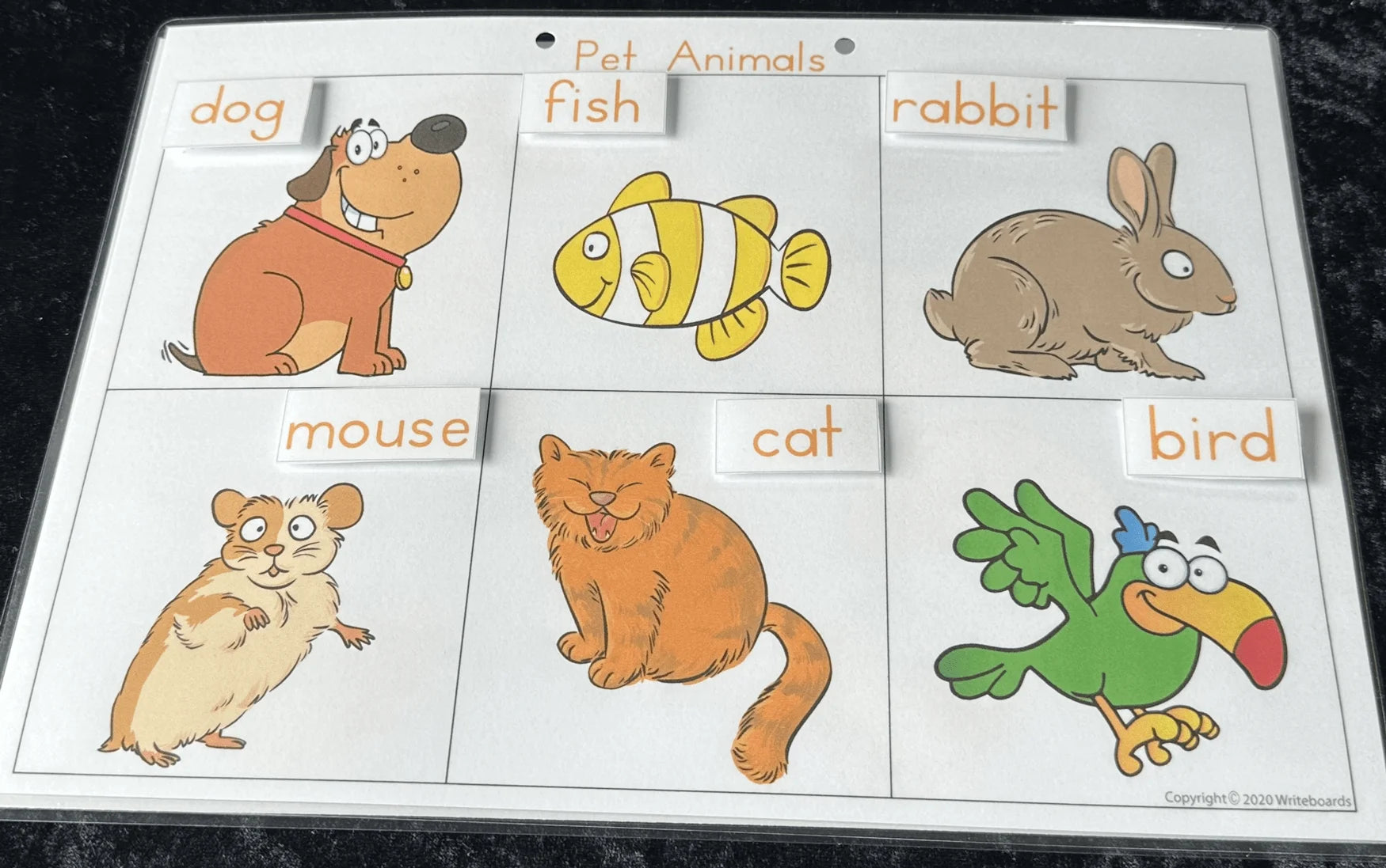 Ball & Stick Pet Animal Busy Book