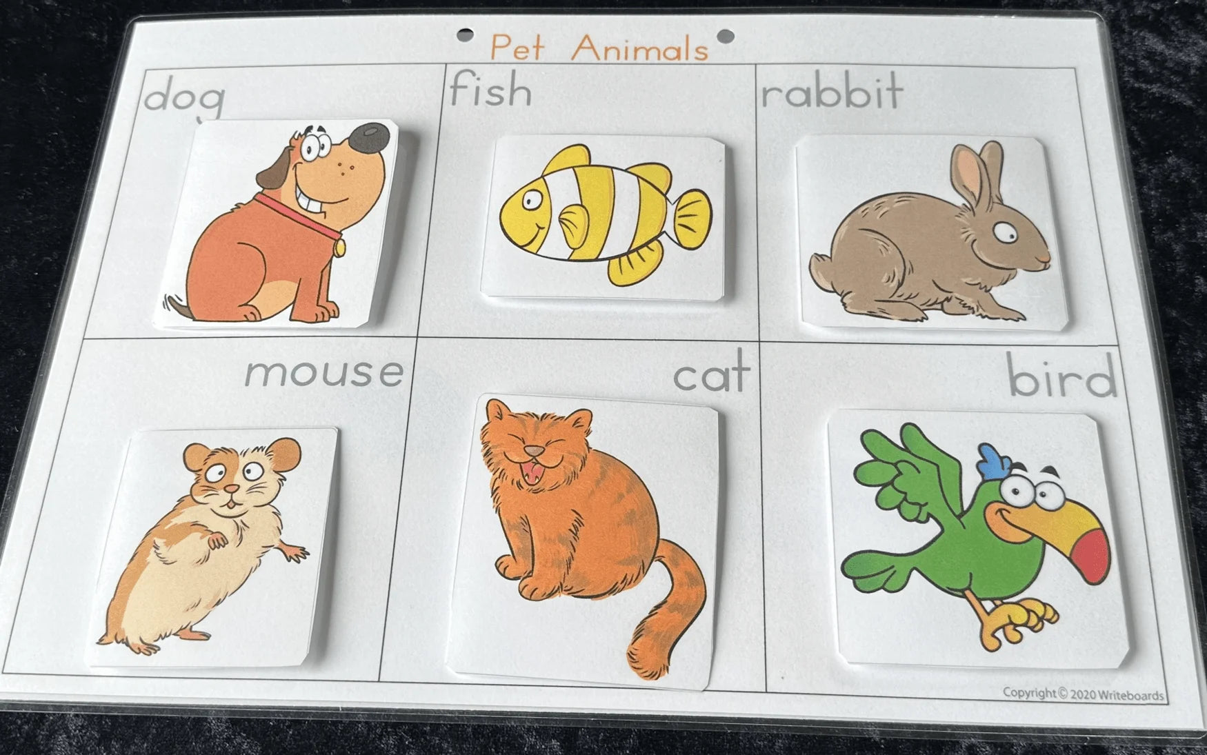 Ball and Stick Pet Animal Busy Book for Teachers, Teach your students about pet animals