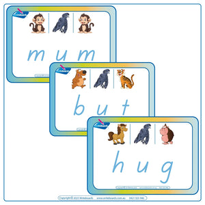 Teach your child how to spell with 42 Printable CVC Flashcards using TAS Handwriting