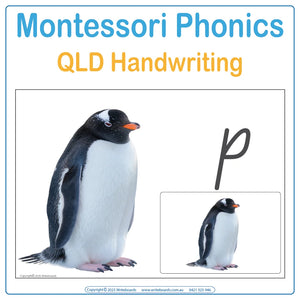 QLD Beginner Montessori phonics cover with animal picture cards and lowercase flashcards
