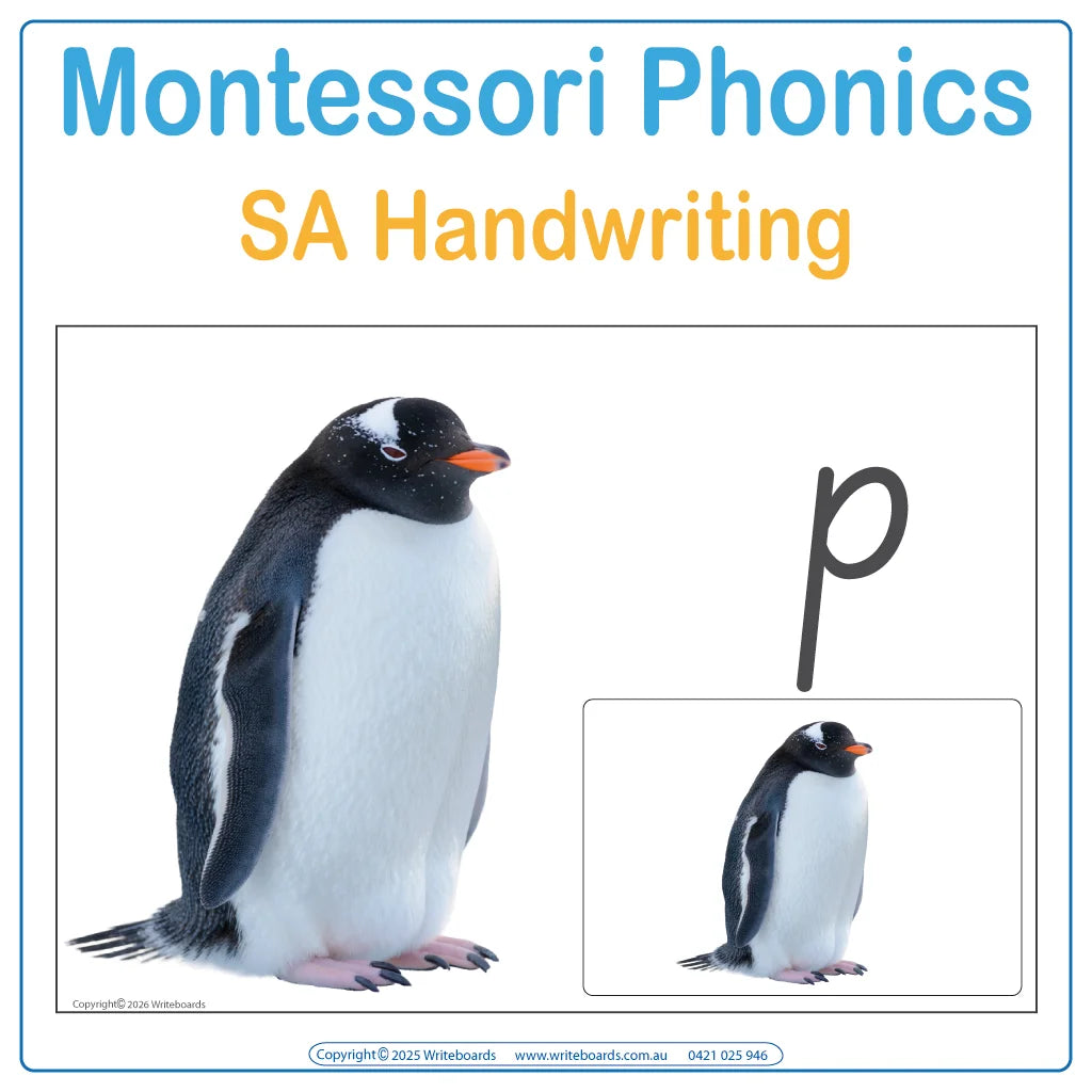 SA Modern Cursive Montessori phonics picture cards and lowercase flashcards plus posters