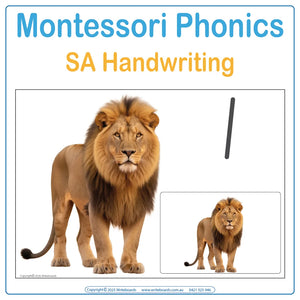 SA Modern Cursive School Readiness Phonics Pack featuring real animal photo posters and flashcards for Reception