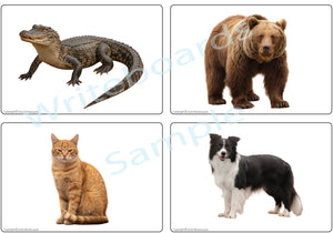 Montessori phonics mini matching cards featuring real animal photography without text for home