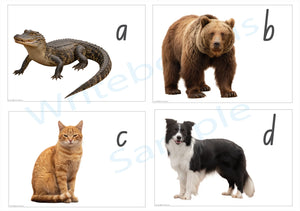 NSW Foundation printable phonics flashcard sheet featuring realistic animal photos