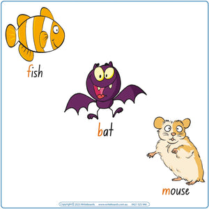 Teach consonant phonemes with NSW Foundation Font posters featuring 201 words and pictures