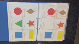 NSW Foundation Font Reusable Shapes Busy Book Pages for Teachers