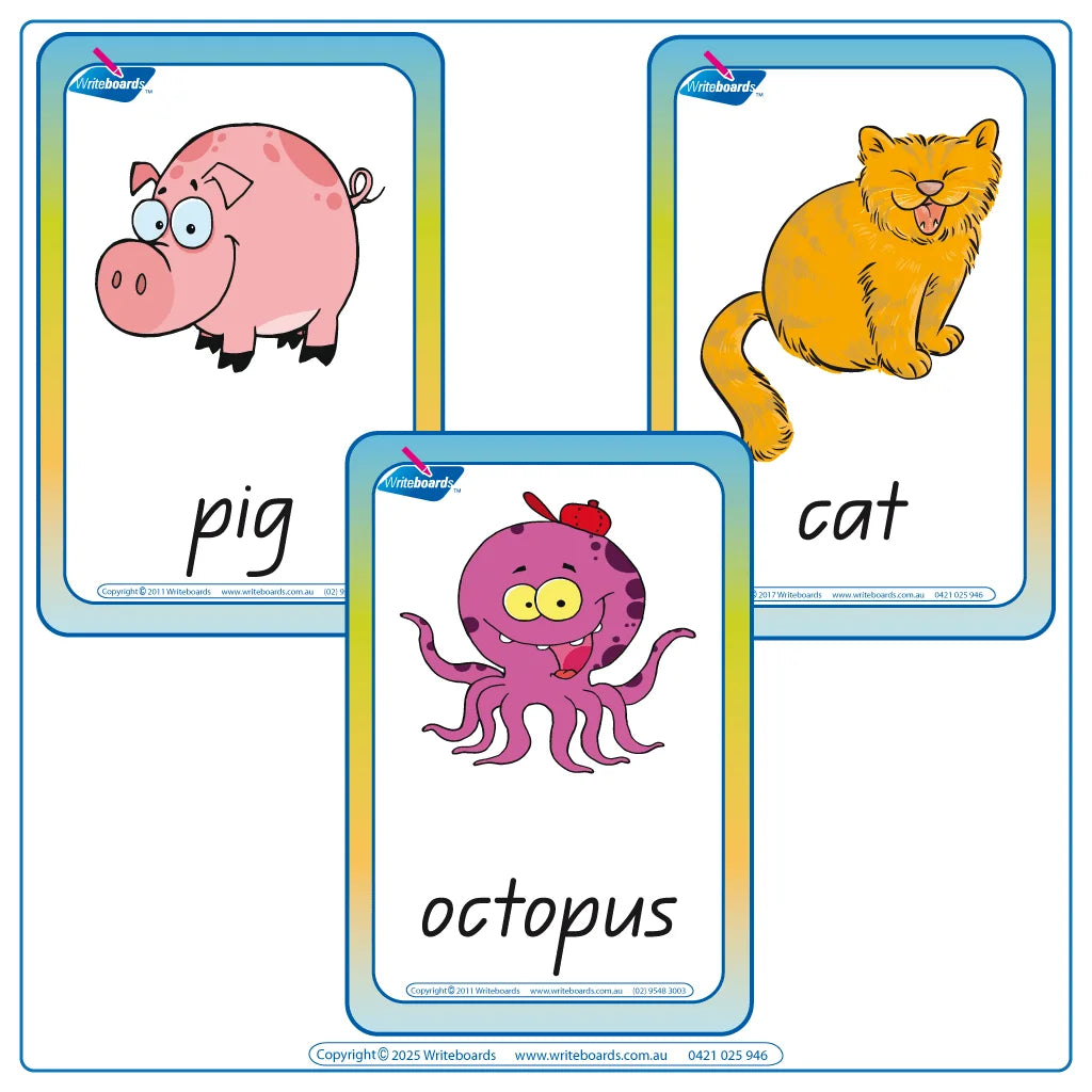 Help your child learn the Alphabet with QLD Beginner Font Phonic Alphabet Flashcards for Ages 3+