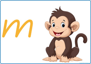 QLD Modern Cursive Alphabet Phonics Posters for Kindergarten with letter sounds and picture cues