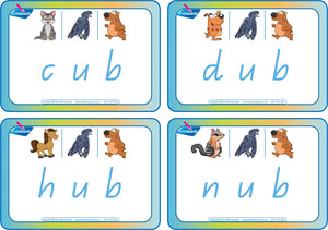 QLD Beginner Childcare and Kindy - CVC Flashcards Middle Letter "u"  