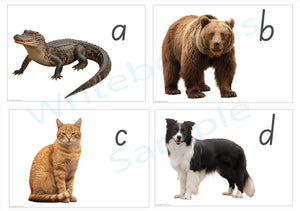 SA Modern Cursive printable phonics flashcard sheet featuring realistic animal photos