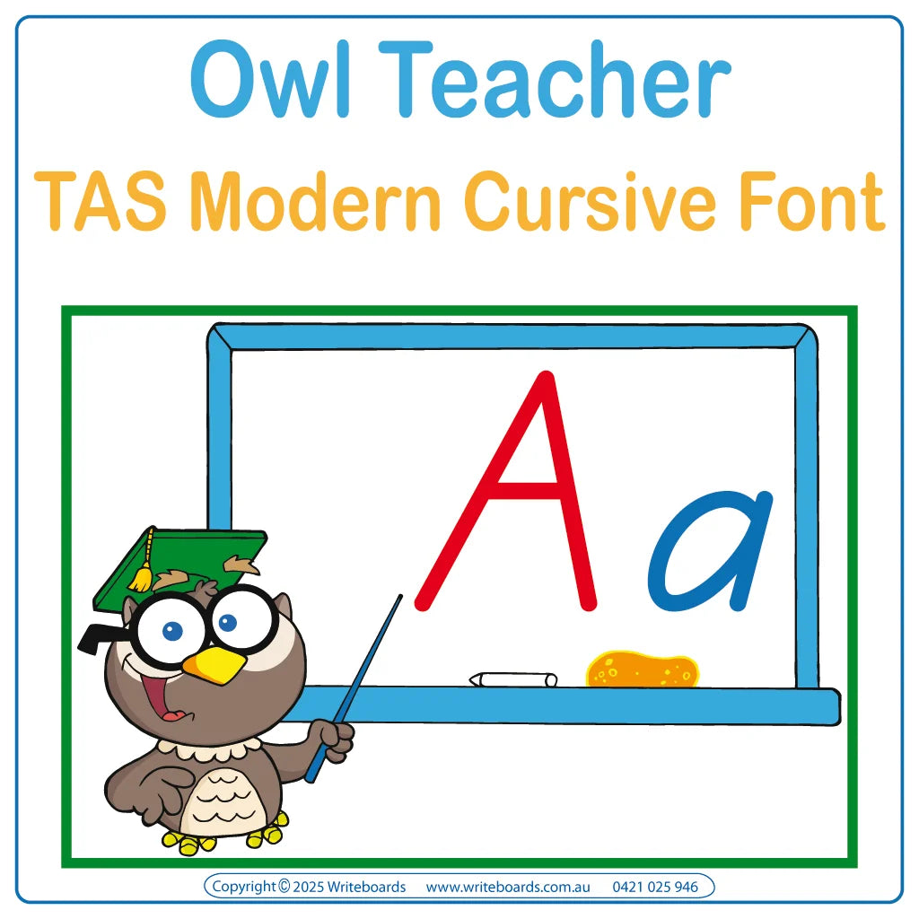 TAS Modern Cursive Font Alphabet Posters for Teachers & Educators