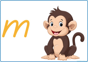 TAS Modern Cursive Alphabet Phonics Posters for Kindergarten with letter sounds and picture cues