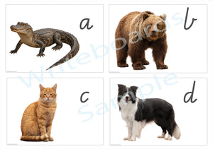 VIC Modern Cursive printable phonics flashcard sheet featuring realistic animal photos