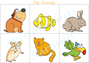 Pet Animal Busy Book where your child has to add the names