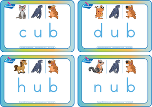 Animal Phonics CVC Flashcards, Printable CVC Flashcards with Matching Pictures, Zoo Phonic Flashcards, Printable CVC Flashcards