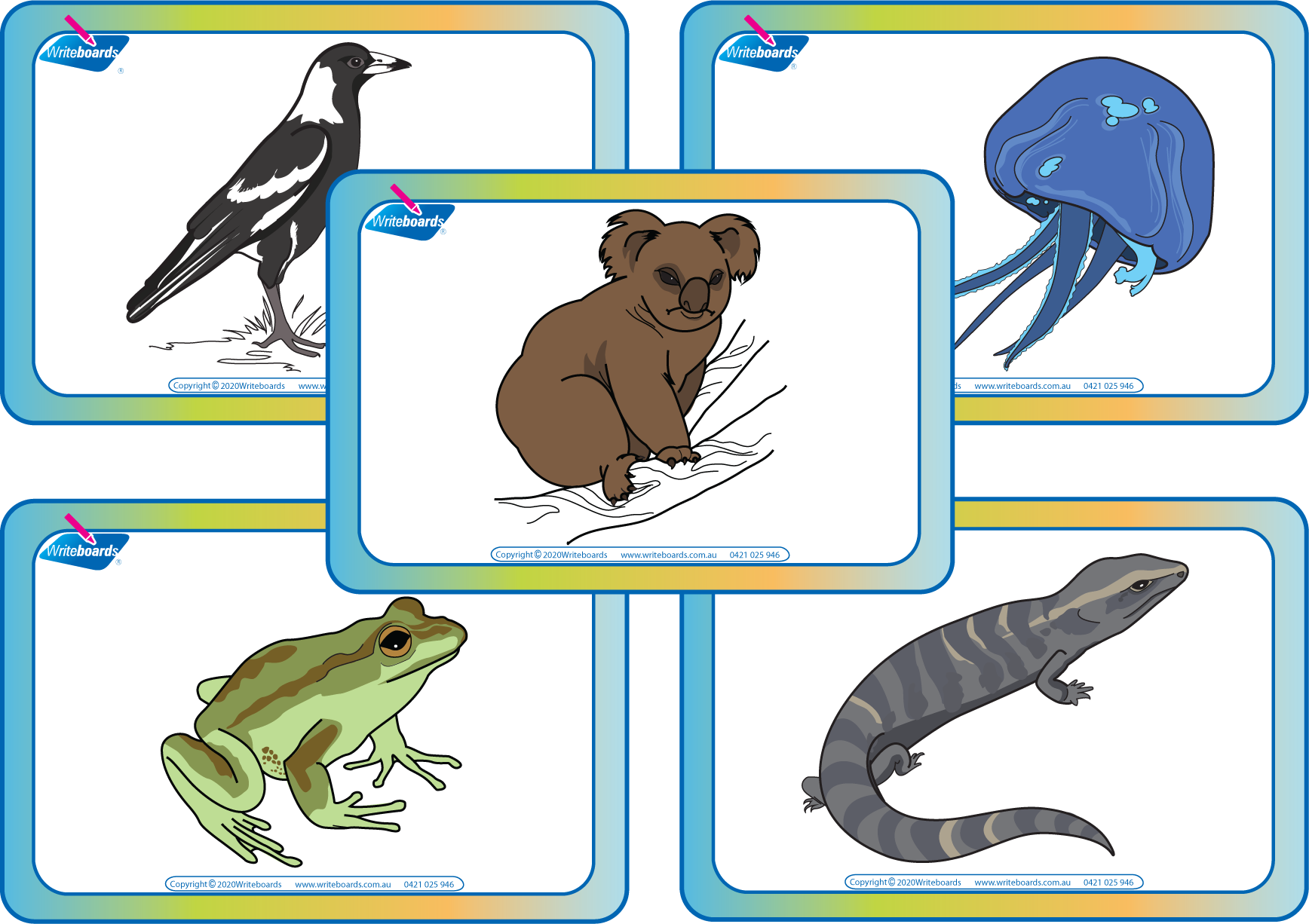 Teach the alphabet and Aussie animals with NSW Foundation Font Aussie Animal Alphabet 108 Flashcards