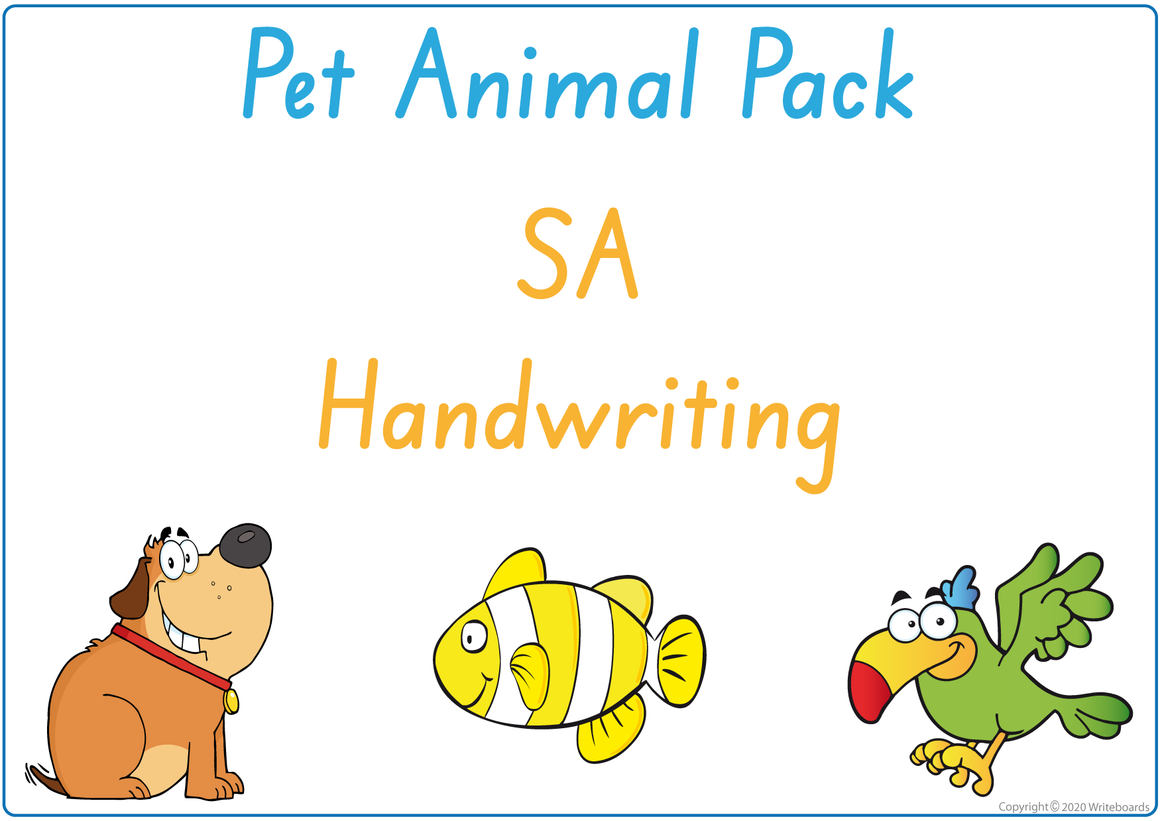 SA Beginner's Font Busy Book Pet Animals Pack also contains Flashcards and a Bingo game