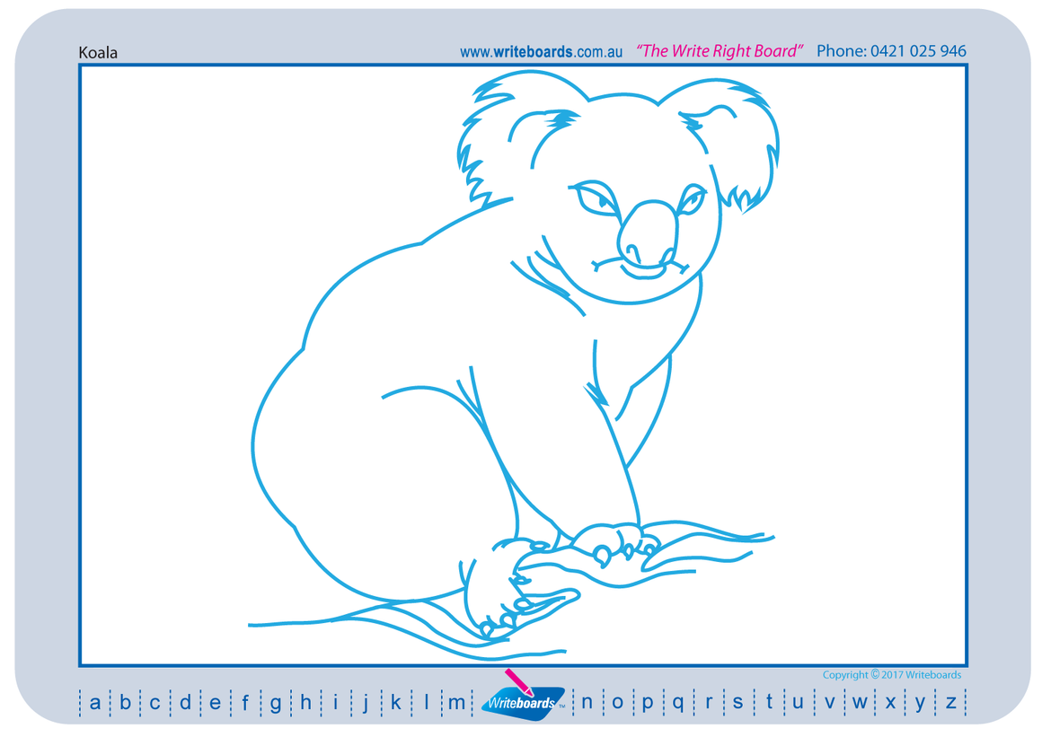 Australian Animal drawing pictures for teachers, teach your students how to draw Australian animals