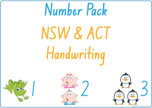 NSW Foundation Font Busy Book Package Three