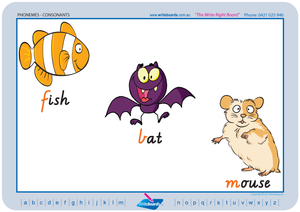 VIC Modern Cursive Font colour coded Consonant Phonemes posters and resources for teachers and schools