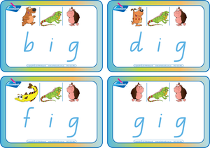 QCursive Font CVC Package for Teachers, QLD Beginner Font CVC Flashcard Package using Animal Phonics