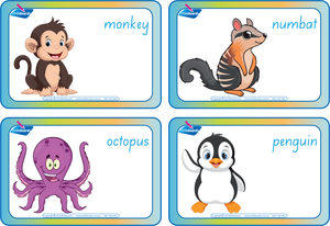 SA Modern Cursive Font Animal Phonic Flashcards for Teachers, SA Modern Cursive Font Zoo Phonic Flashcards