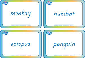 TAS Modern Cursive Font Animal Phonic Flashcards for Teachers, TAS Modern Cursive Font Zoo Phonic Flashcards