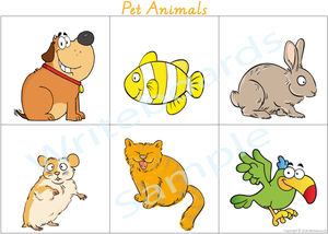VIC / NT & WA Busy Book Pet Animals, Your child has to add the Names
